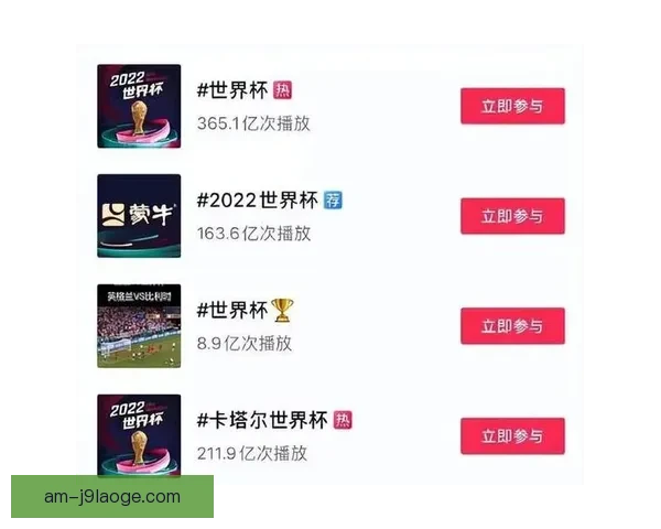 2026世界杯官方指定供应商推出全新赛事餐饮数字化解决方案提升观赛体验